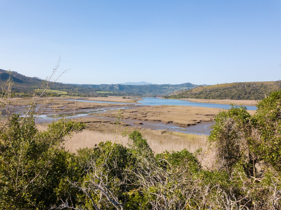 0 Bedroom Property for Sale in Westford Bridge Western Cape